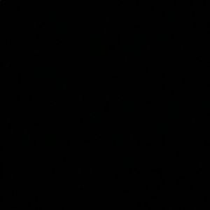 Meet your Posher, Jazmin